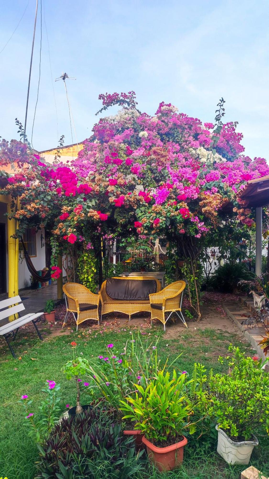 Pousada Solar Encanto do Marajó Soure Exterior foto